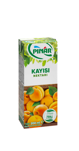 Pınar Kayısı Aromalı Meyve Suyu 200 Ml nin resmi