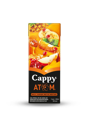 Cappy Atom Ballı Karışık Meyve Nektarı 200 Ml nin resmi