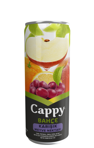 Cappy Karışık Meyve Suyu 330 Ml nin resmi