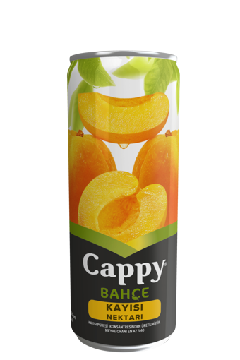 Cappy Kayısı Aromalı Meyve Suyu 330 Ml nin resmi
