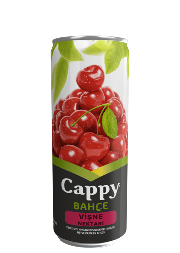 Cappy Vişne Aromalı Meyve Suyu 330 Ml nin resmi