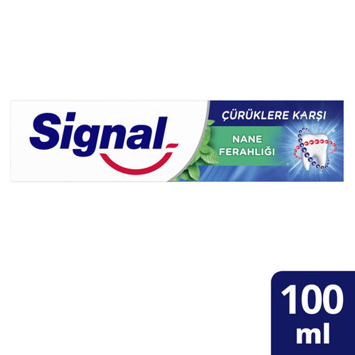 Signal Beyaz Güç Nane Ferahlığı Diş Macunu 100 Ml nin resmi