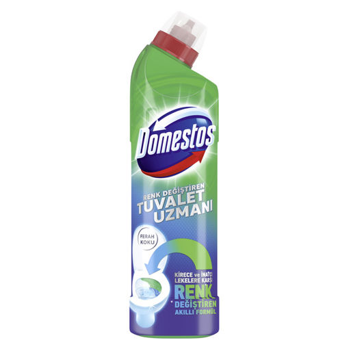 Domestos Tuvalet Uzmanı 750 Ml nin resmi