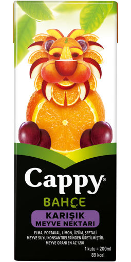 Cappy Karışık Meyve Suyu 200 Ml nin resmi