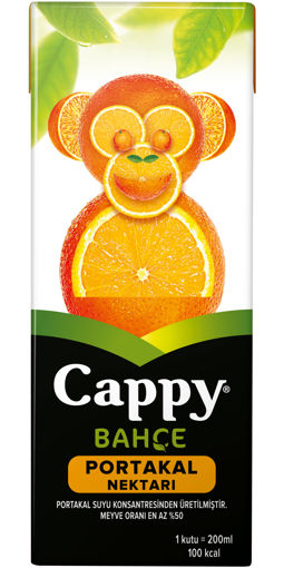 Cappy Portakal Aromalı Meyve Suyu 200 Ml nin resmi