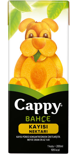 Cappy Kayısı Aromalı Meyve Suyu 200 Ml nin resmi