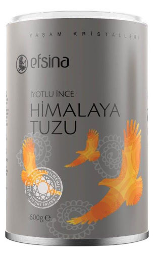 Efsina İyotlu Himalaya Tuzu 600 Gr nin resmi