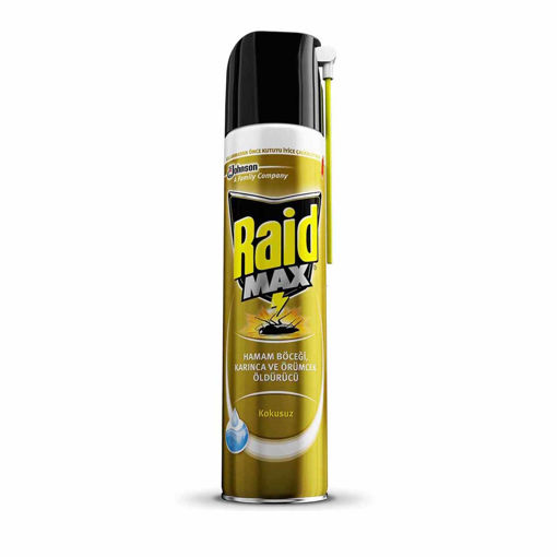 Raid Böcek Savar Max Haşere Öldürücü Sprey 300 Ml nin resmi