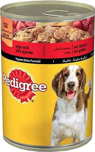 Pedigree Sığır Etli Jöle içinde Yetişkin Köpek Maması 400 Gr nin resmi