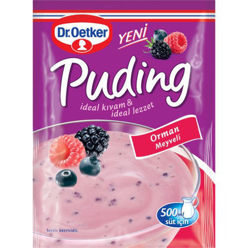 Dr. Oetker Orman Meyveli Puding 81 Gr nin resmi