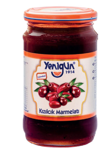 Yenigün Kızılcık Marmelatı 380 Gr nin resmi