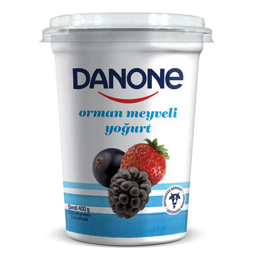 Danone Orman Meyveli Yoğurt 400 Gr nin resmi