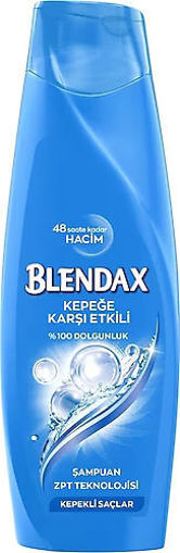 Blendax Erkekler İçin Kepeğe Karşı Etkili Şampuan 470 ml nin resmi