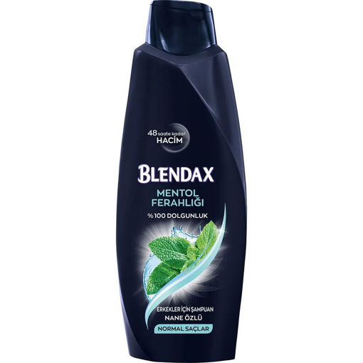 Blendax Erkekler İçin Mentollü Şampuan 470 ml nin resmi