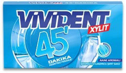 Vivident 45 Dk Nane Aromalı Sakız nin resmi