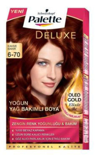 Palette DELUXE 6-70 Kahve Bakır Saç Boyası nin resmi