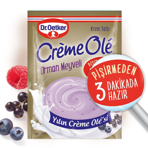 Dr.Oetker Creme Ole Orman Meyveli 89 Gr nin resmi