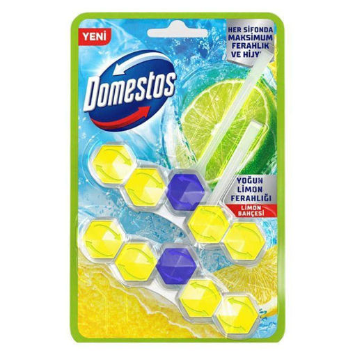 Domestos  Guc Duo Pack Limonlu Wc Blok 5'Li nin resmi