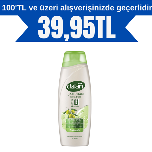 Dalan Onarıcı Bakım Şampuanı 450 Ml nin resmi